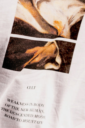 THE FIRST CULT